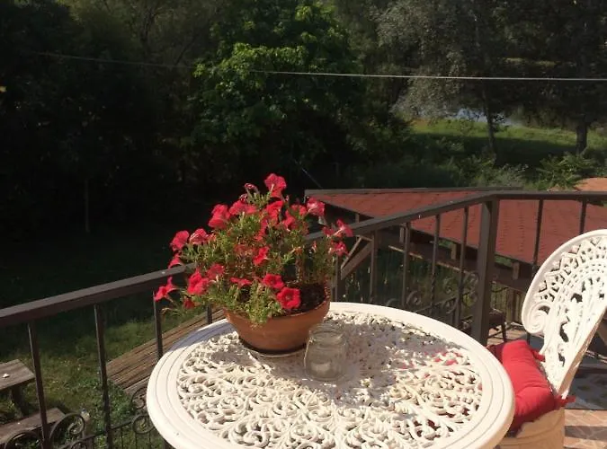 Cosy On The Near Budapest And The Airport B&B